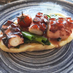 Polvo em puré de aipo