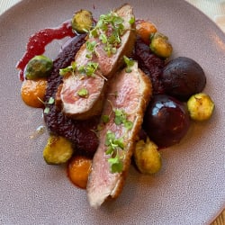 Pato com purê de beterraba 