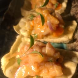 Tacos ceviche 