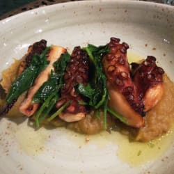 Octopus