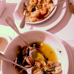 Amêijoas e gambás a aïoli 