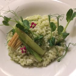 Risotto 