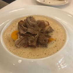 Saint Jacques et truffe d alba