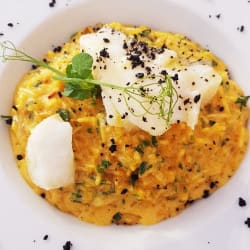 Baccalà