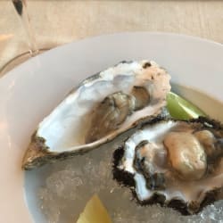 Oyster from Algarve