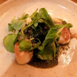 Coquilles Saint-Jacques