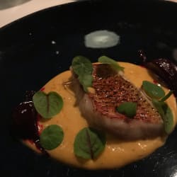 Red mullet, Beet Root, Iodised Sauce