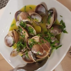 Clams