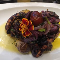 Pulpo