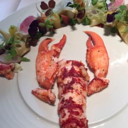 Homard poché 