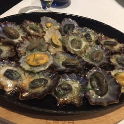 Lapas