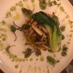Tarde de vegetais pak-choi e cogumelos selvagens 