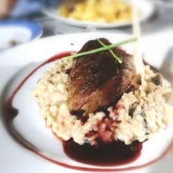 Magret de pato com risotto de cogumelos e vinho do Porto 