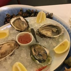 Goose barnacles, oysters, and sea snails 