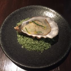 Oyster 