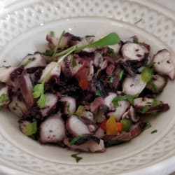 Octopus Salad