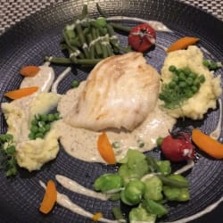 Filet de turbo 