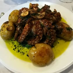 Polvo à 100 Segredos