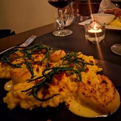 Vieiras com emulsão de limão, risoto de açafrão e crispy de parma