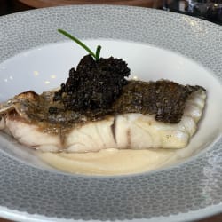 Corvina con pire de apio