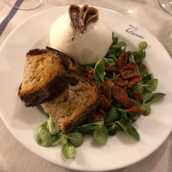 Burrata