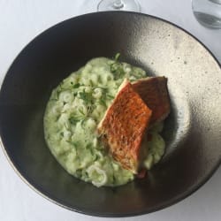 Salmonete, risotto e massa com coentros