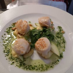Scallops