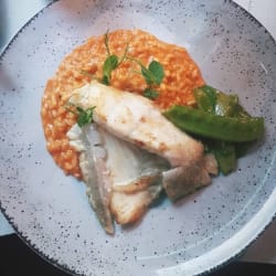 Fish and risotto 