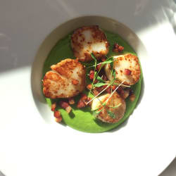 Vieiras con crema de guisantes