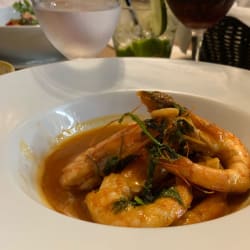 Gambas 