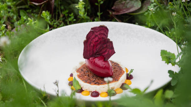 Les Jardins Sauvages In La Gacilly Restaurant Reviews Menu And