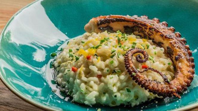 Sugestão do Chef - Focus - Restaurante Italiano, Oeiras