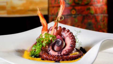 Sophia's Restaurant, Milan