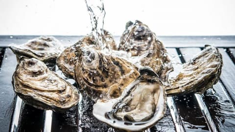 Prova - Enoteca, Lisbon