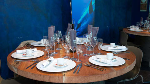 Lazuli - Estórias do Mar, Porto Salvo