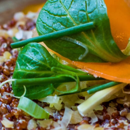 Bestes Vegetarisches Restaurant In Der Nähe De 10 beste restaurants met Vegetarische opties in Torre Annunziata