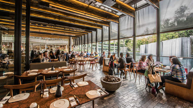 El Japonez Oasis In Mexico City Restaurant Reviews Menu And