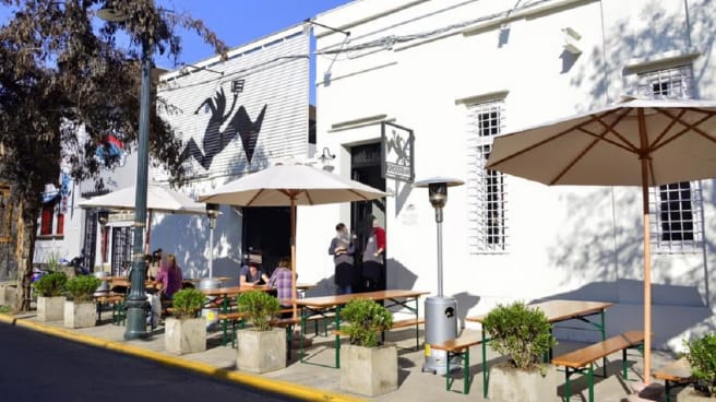 Polvo bar de vinos precios