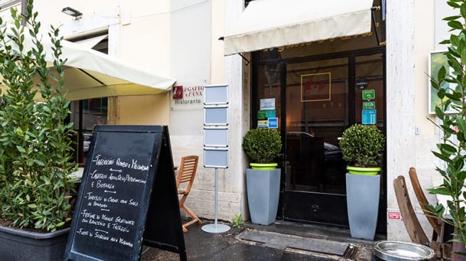 Il Gatto E L Uva In Rome Restaurant Reviews Menu And Prices